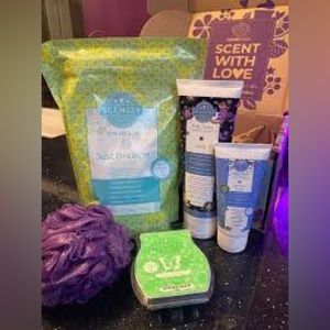 Scentsy Monthly Scent Box | January 2024 Whiff Box [NIB]